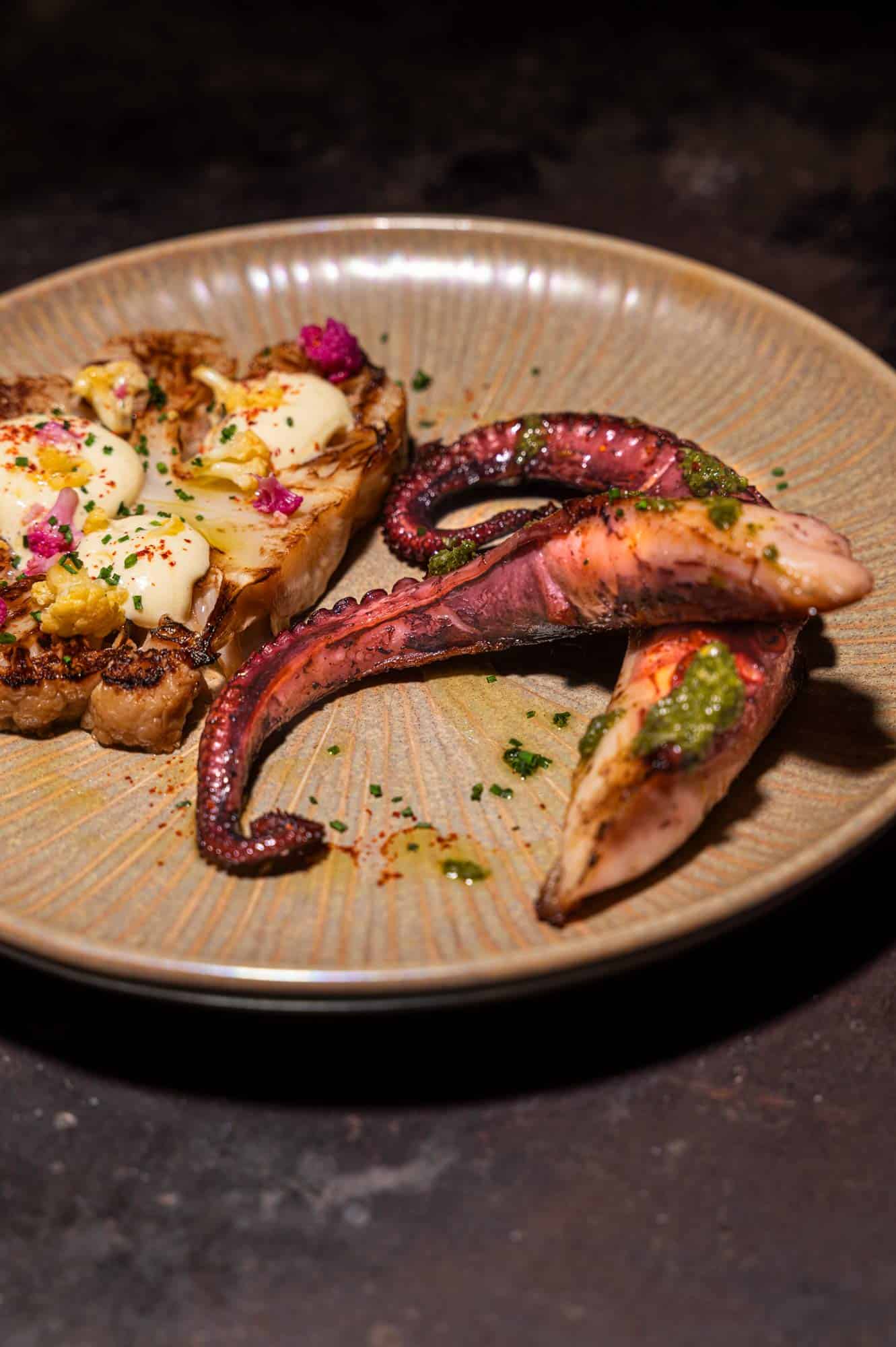 SEB_CHEBASSIER_QUILLIER-poulpe